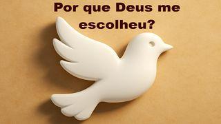 Por que Deus me escolheu?