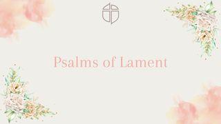 Psalms of Lament