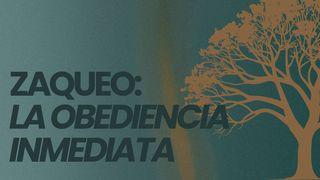 Zaqueo: La Obediencia Inmediata