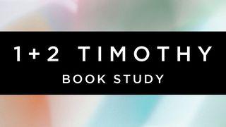 Timothy Book Study - the Story