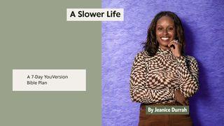A Slower Life