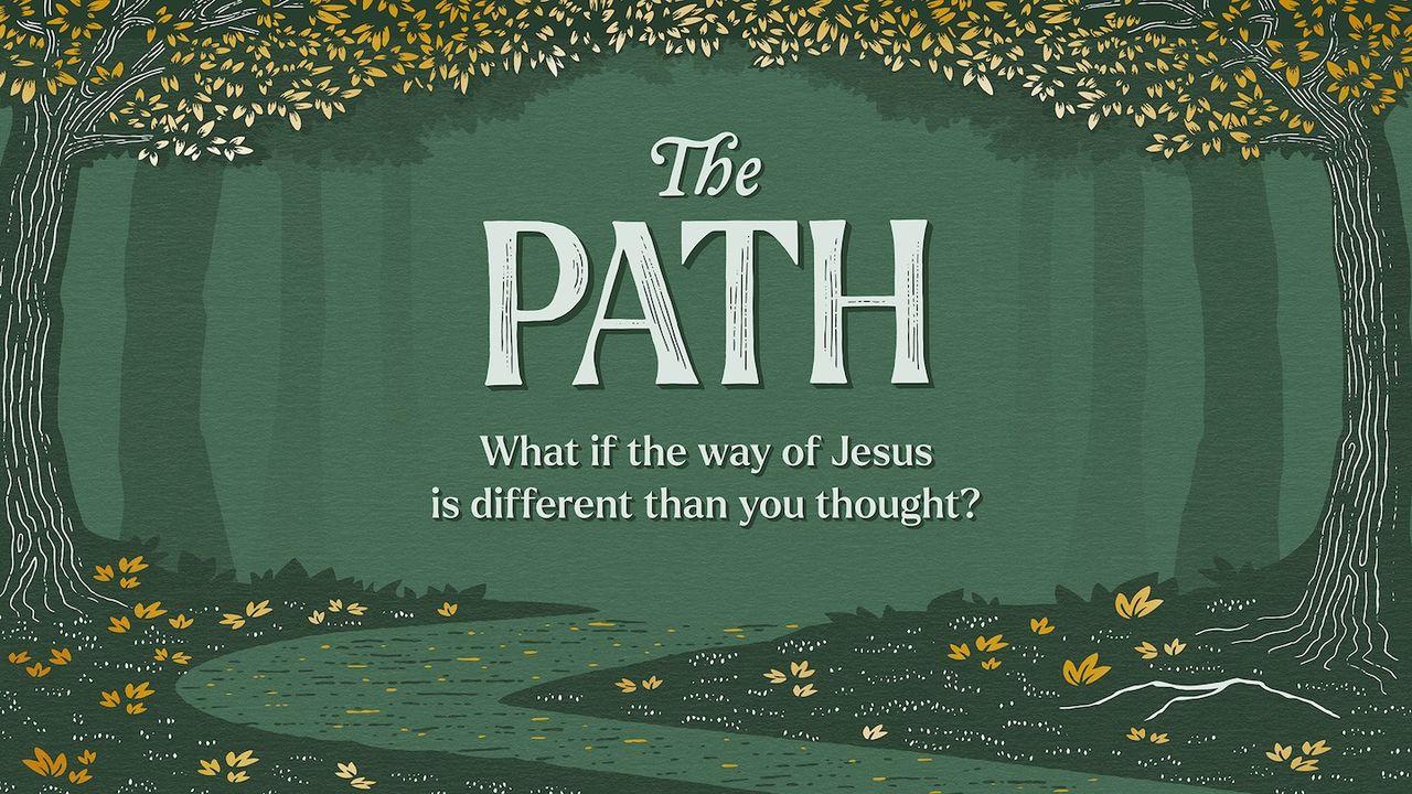 The Path: What if the Way of Jesus Is Different Than You Thought?