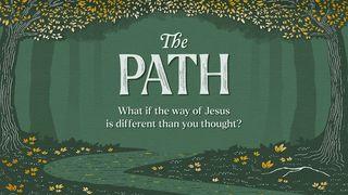 The Path: What if the Way of Jesus Is Different Than You Thought?