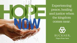 Hope Now: 27 Days to Peace, Healing, and Justice