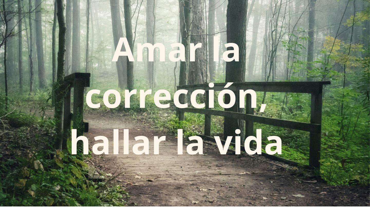 Amar La Corrección, Hallar La Vida 1 Samuel 15:23 Palabla de Dios para ti