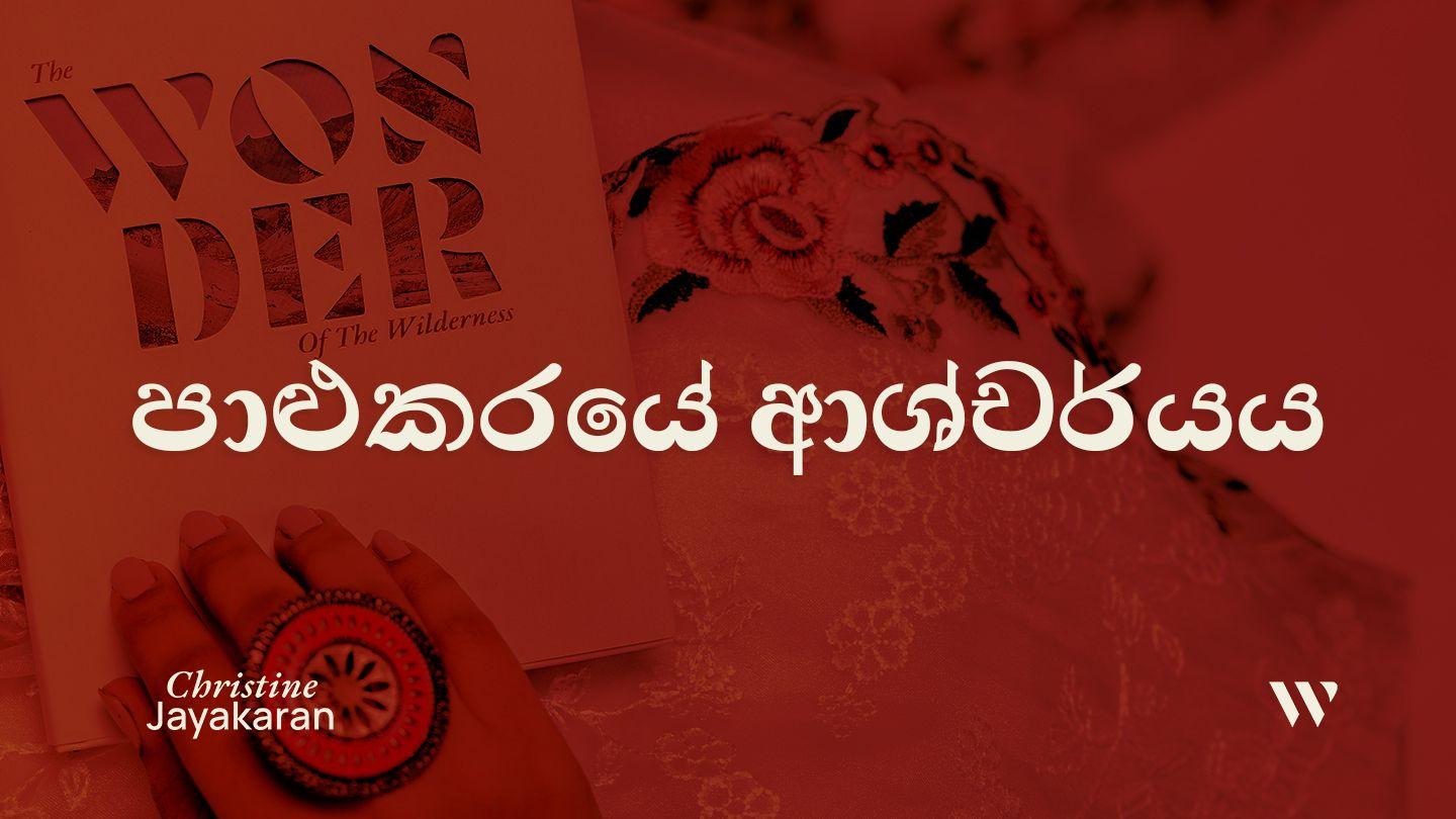 පාළුකරයේ ආශ්චර්යය යොහන් 4:11-15 සිංහල කාලීන පරිවර්තනය