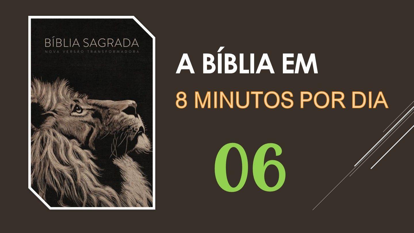 A Bíblia em 8 minutos... por dia - Plano VI