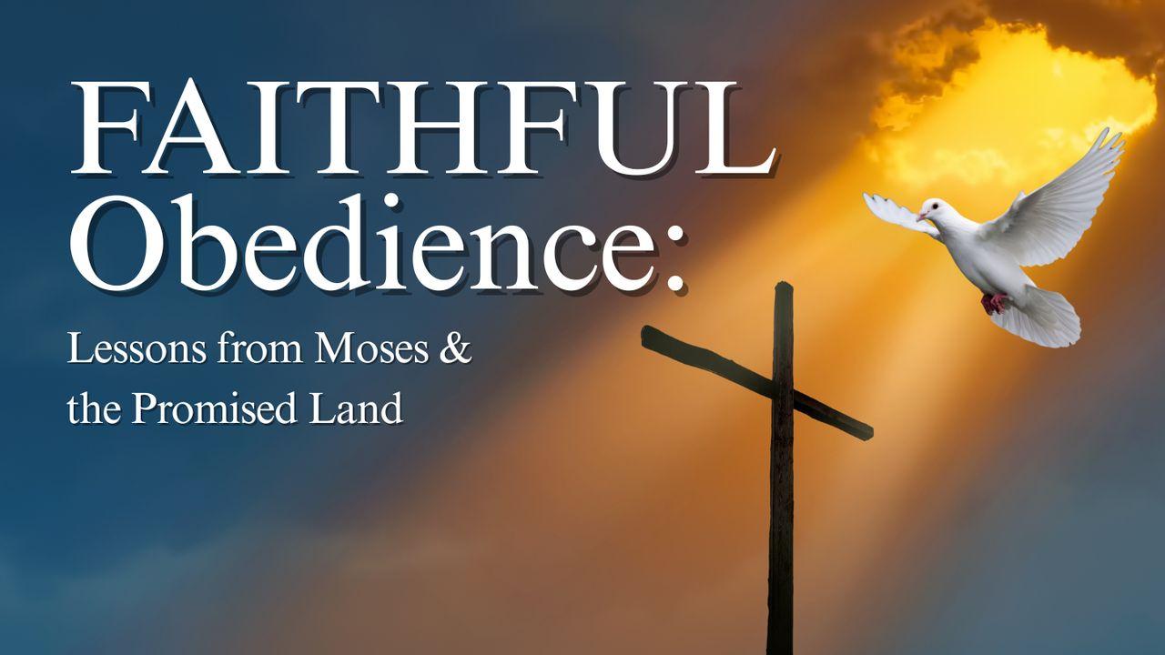 Faithful Obedience: Lessons From Moses and the Promised Land