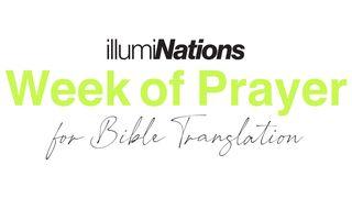 Praying for the Global Work of Bible Translation