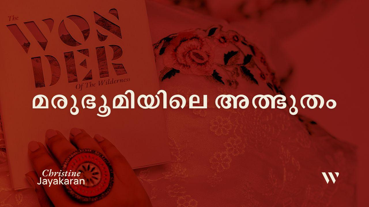 മരുഭൂമിയിലെ അത്ഭുതം