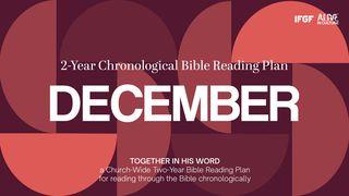 Two-Year Chronological Bible Reading Plan (First Year-December)