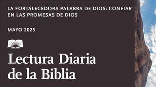 La fortalecedora Palabra de Dios: confiar en las promesas de Dios