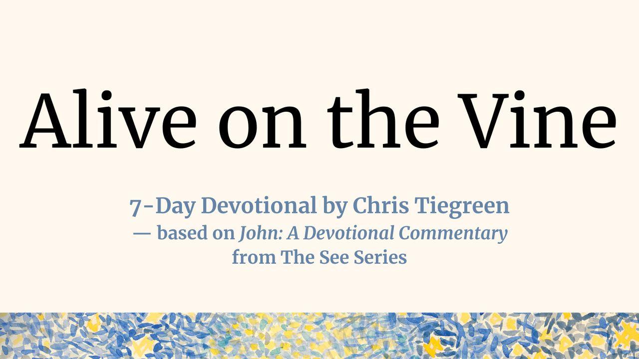 Alive on the Vine: A Look Into John