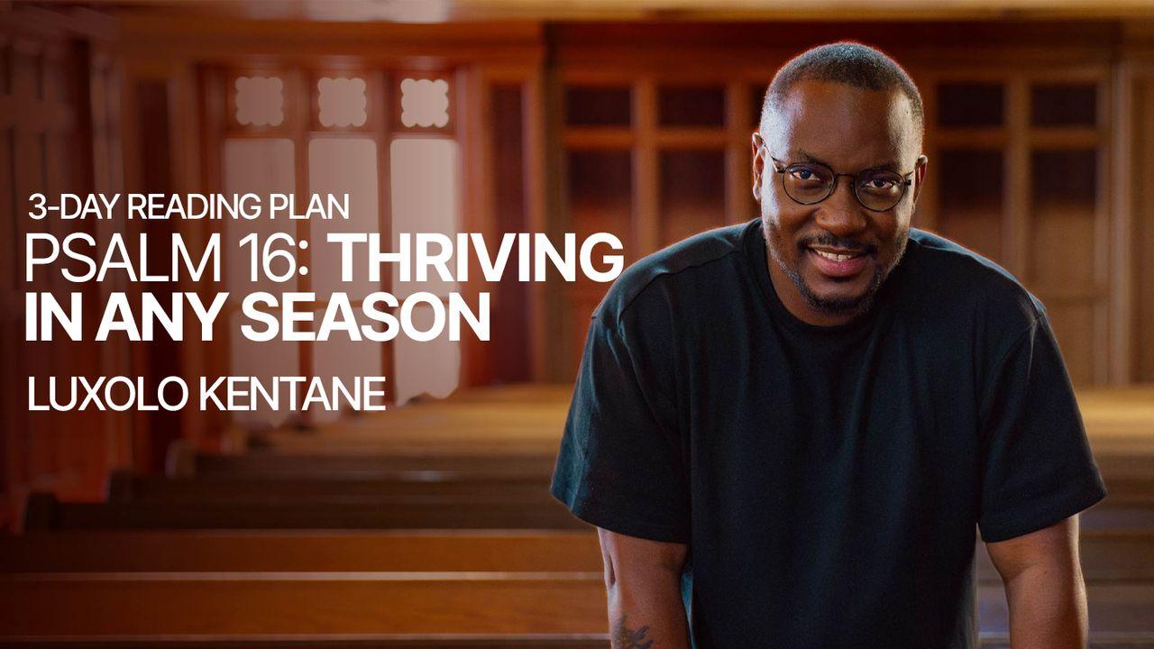 Psalm 16: Thriving in Any Season