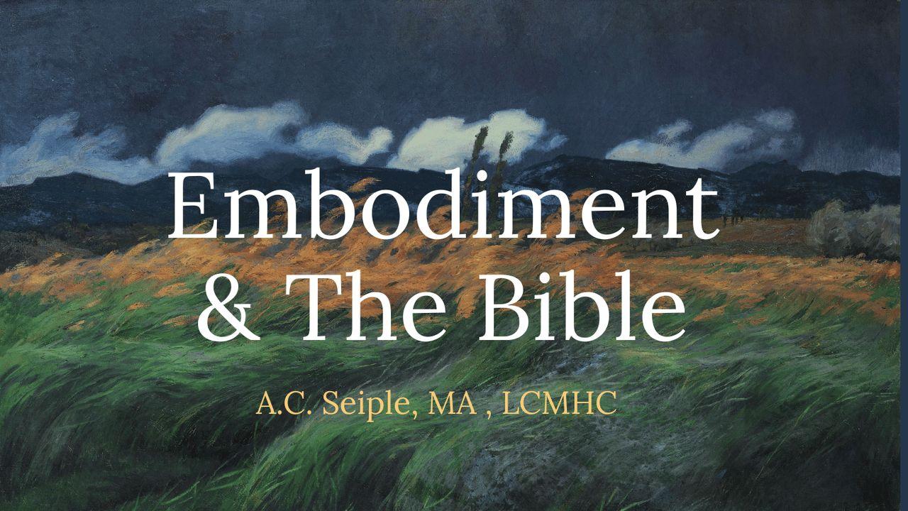 Embodiment & the Bible by A.C. Seiple