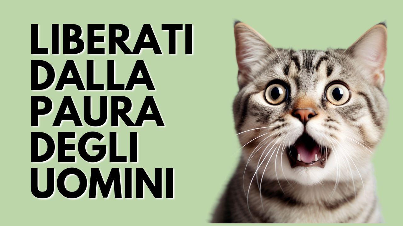 Liberati Dalla Paura Degli Uomini