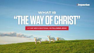 What Is "The Way of Christ?"