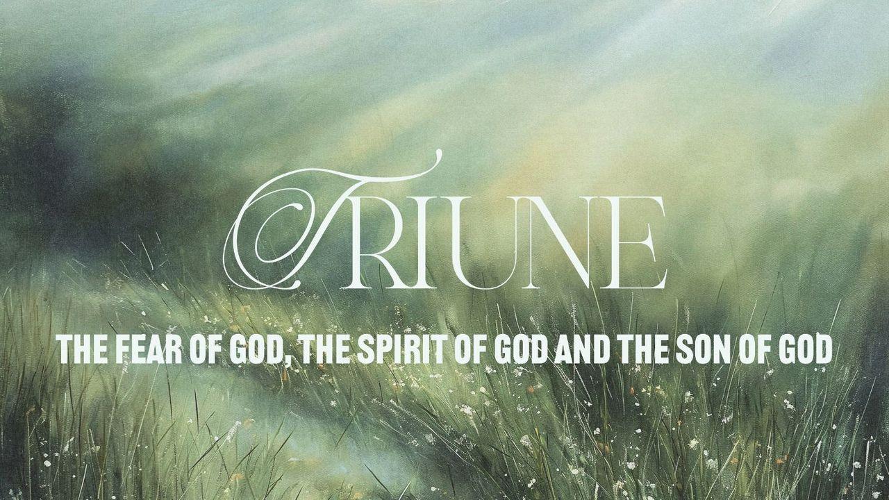 Triune
