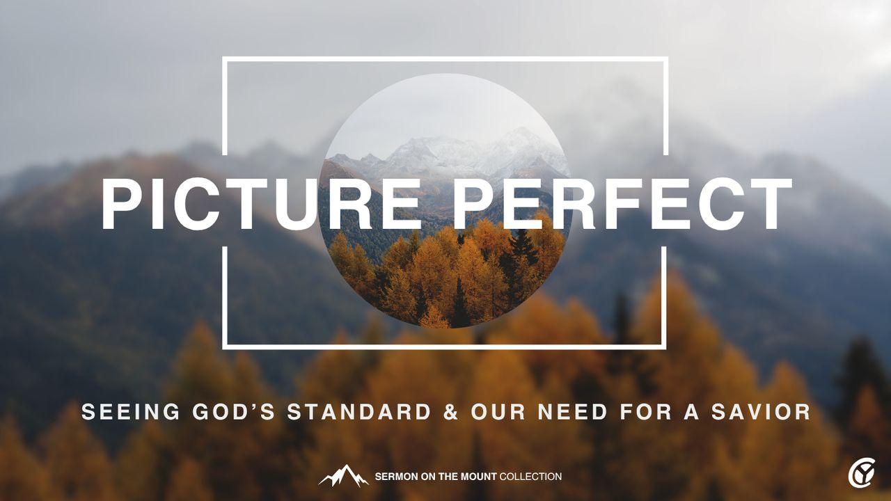 Picture Perfect