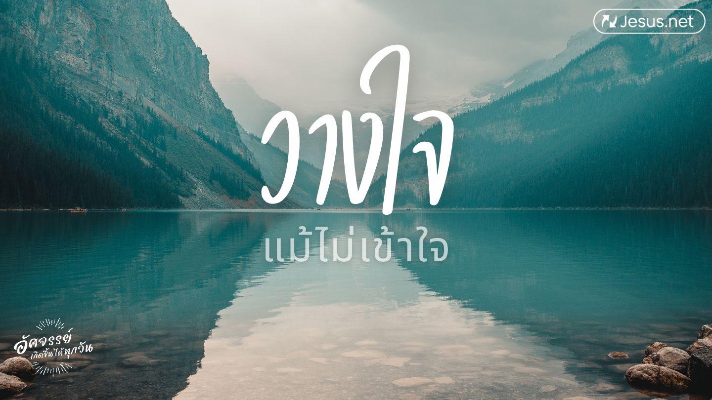 วางใจแม้ไม่เข้าใจ