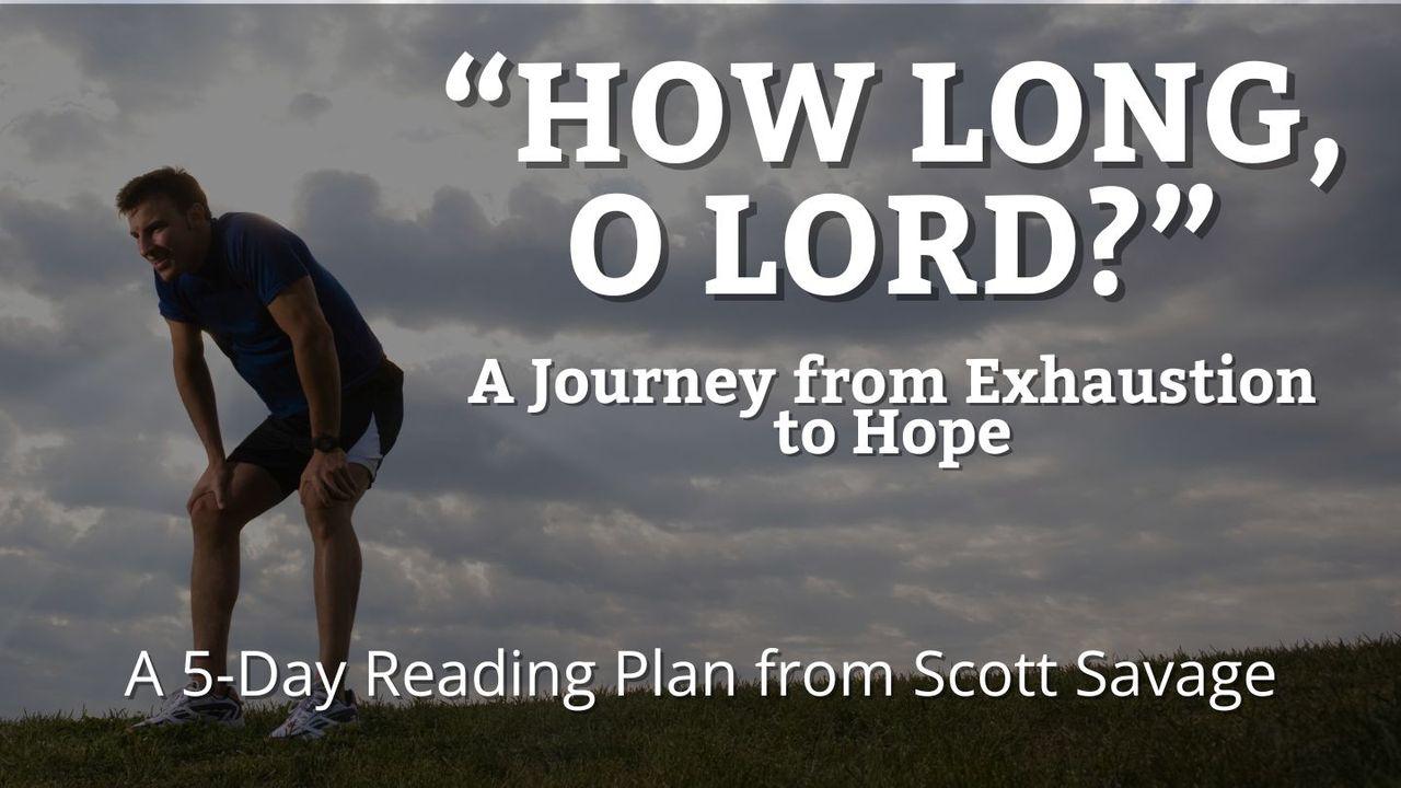 How Long, O Lord?: A Journey From Exhaustion to Hope