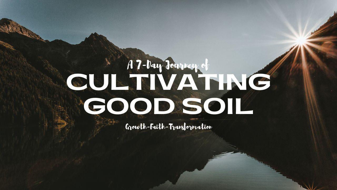Cultivating Good Soil: A 7-Day Journey Through the Parable of the Sower