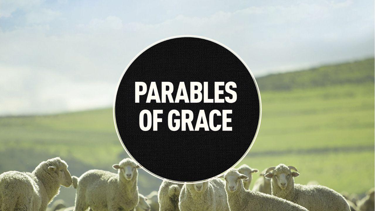 Parables of Grace: Embrace God’s Love for You