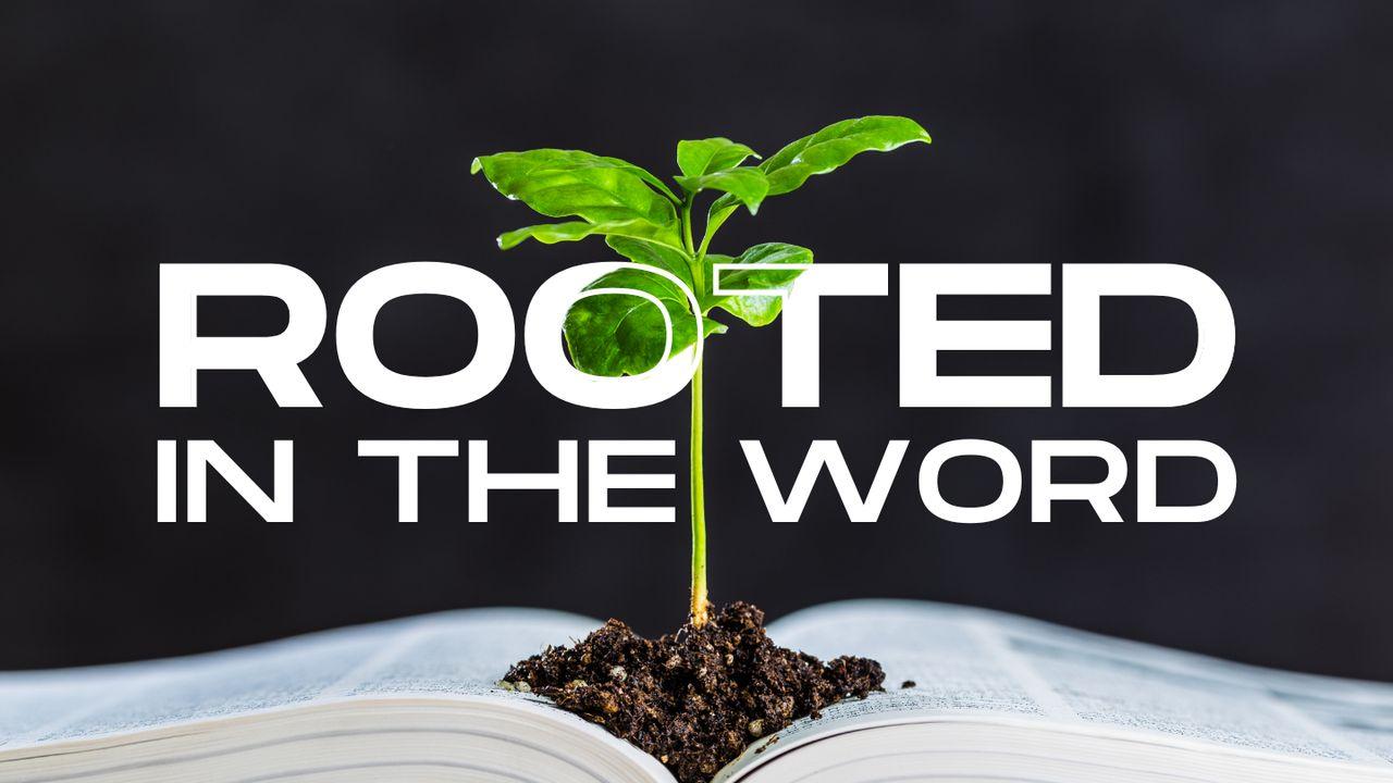 Rooted in the Word: A 5-Day Devotional Journey Based on Colossians 2:6-7