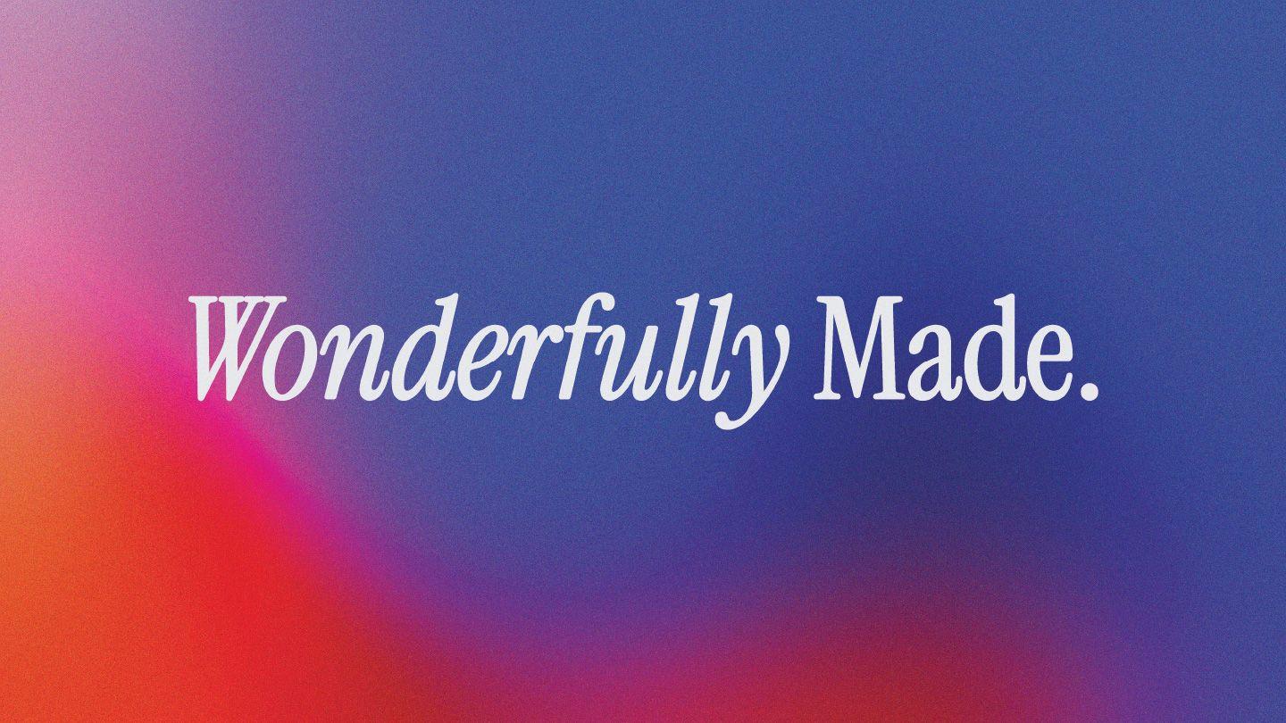 Wonderfully Made - Created in the Image of God