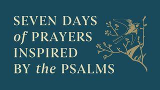 Seven Days of Prayers Inspired by the Psalms