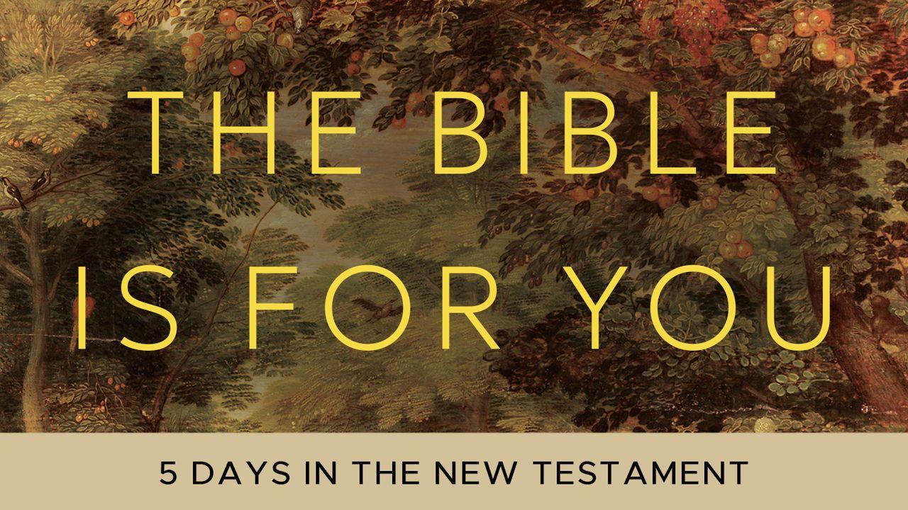 The Bible Is for You: 5 Days in the New Testament
