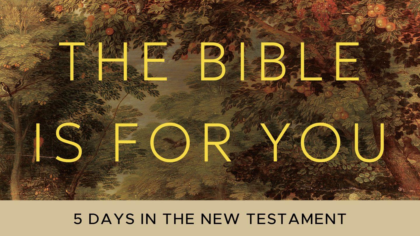 The Bible Is for You: 5 Days in the New Testament