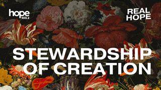 Stewardship of Creation