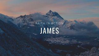 Faith in Action: A Journey Through James