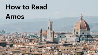 How to Read Amos