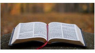 Slowing to Be With God Amidst an Anxious, Fast-Paced Life