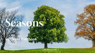Seasons