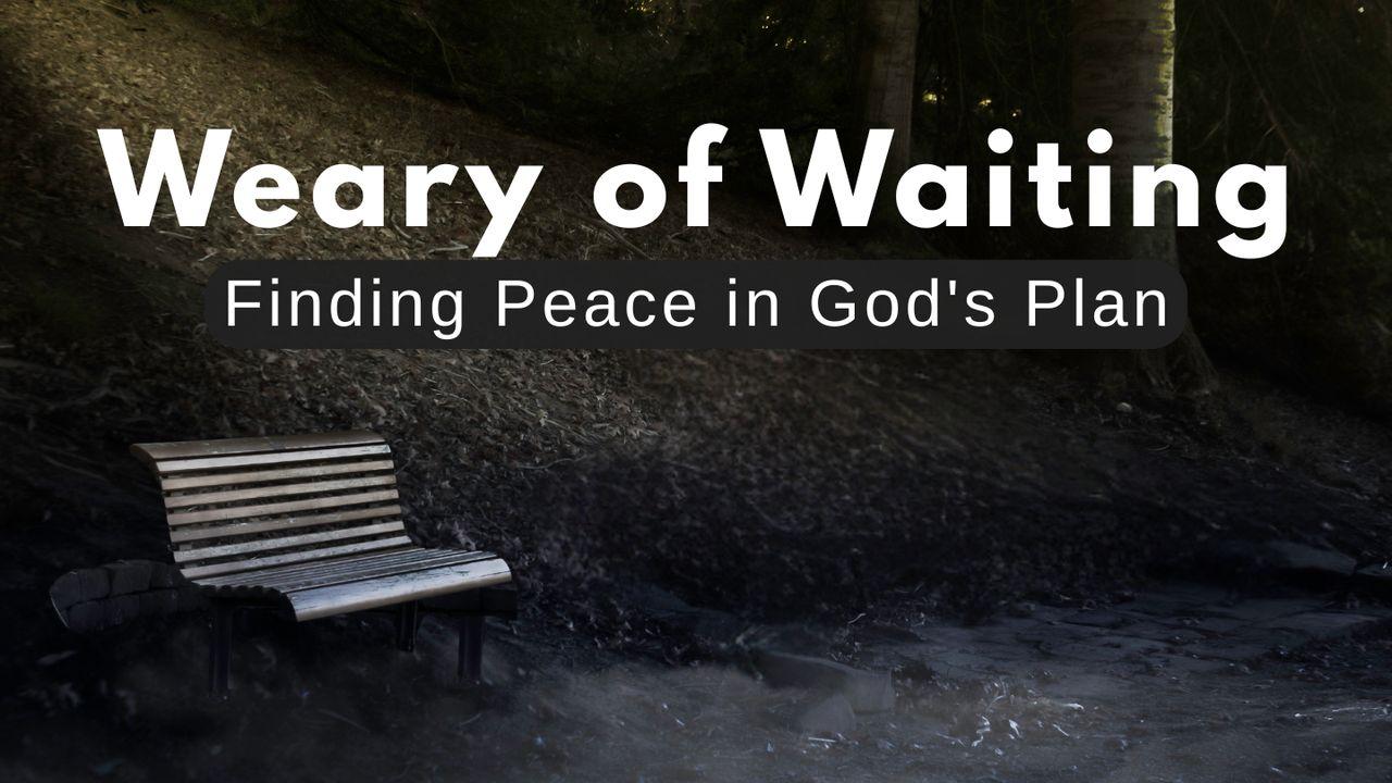 Weary of Waiting: Finding Peace in God's Plan