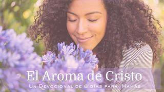 El aroma de Cristo