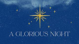 A Glorious Night
