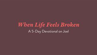 When Life Feels Broken: A 5-Day Devotional on Joel