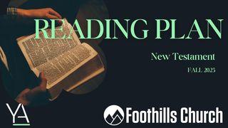 New Testament Read-Through (Matthew)