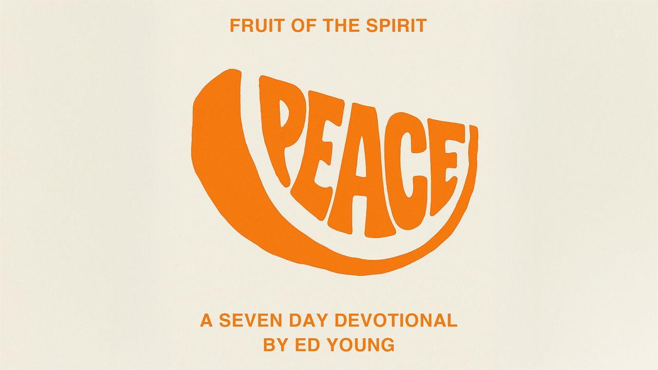 Peace Beyond Circumstances — 7 Day Devotional