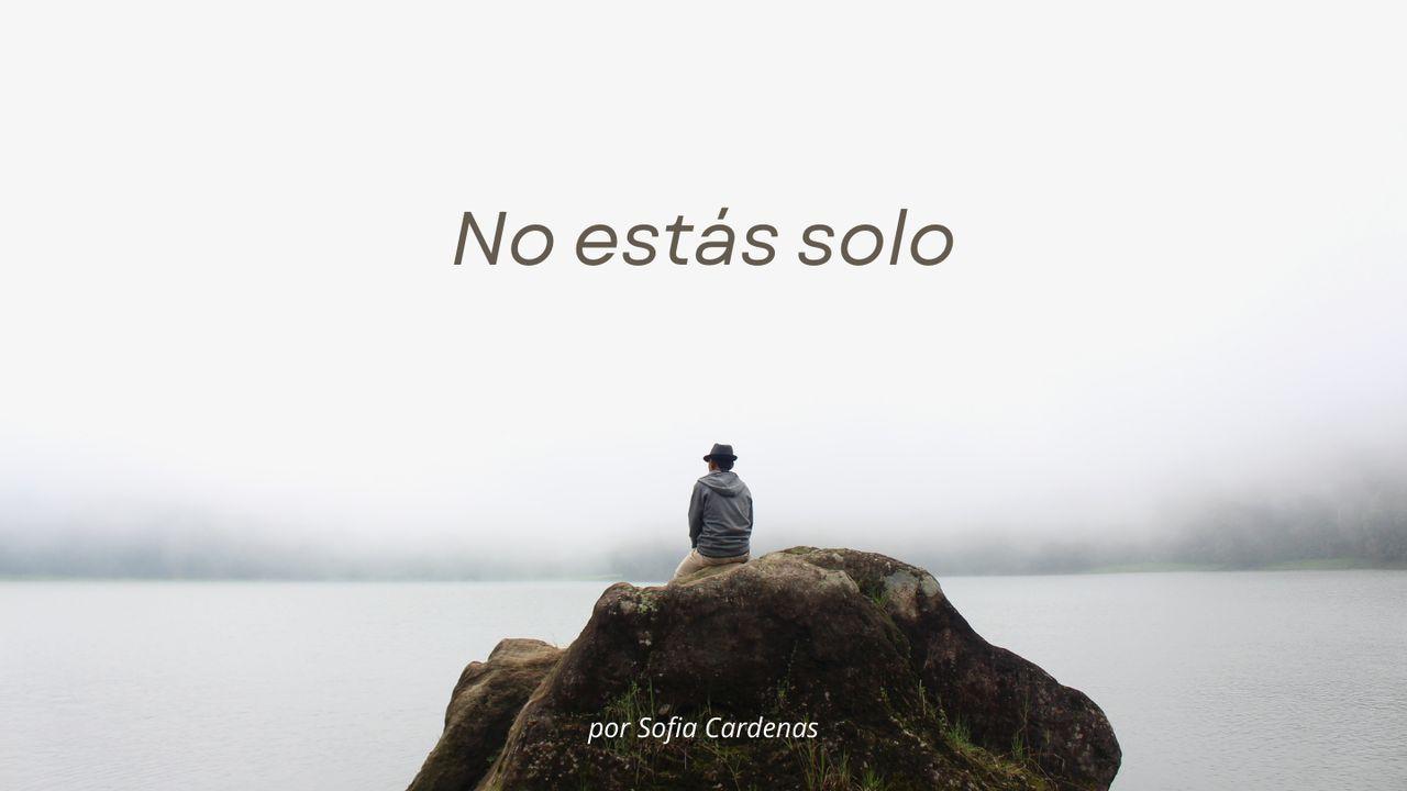 No Estás Solo