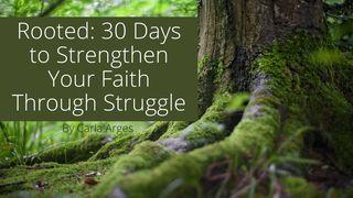 Rooted: 30 Days to Strengthen Your Faith Through Struggle