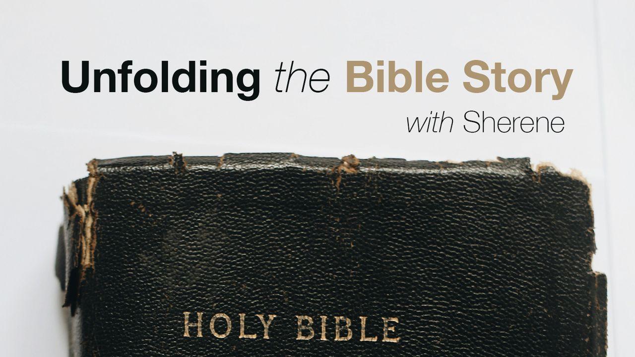 Unfolding the Bible Story With Sherene