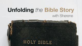 Unfolding the Bible Story With Sherene