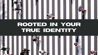 Rooted in Your True Identity