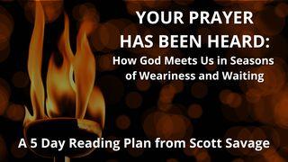 Your Prayer Has Been Heard: How God Meets Us in Seasons of Weariness and Waiting