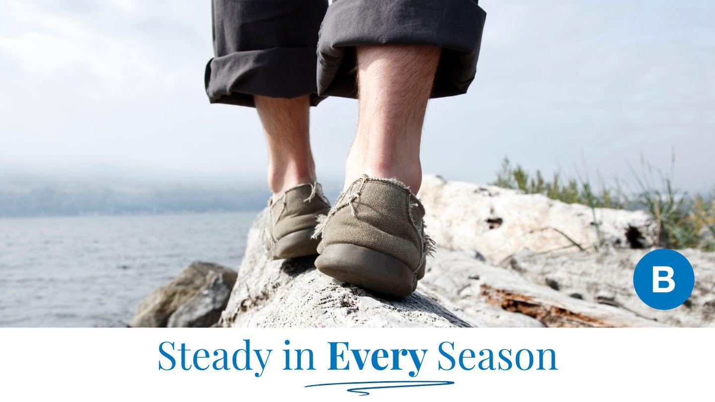 Steady in Every Season